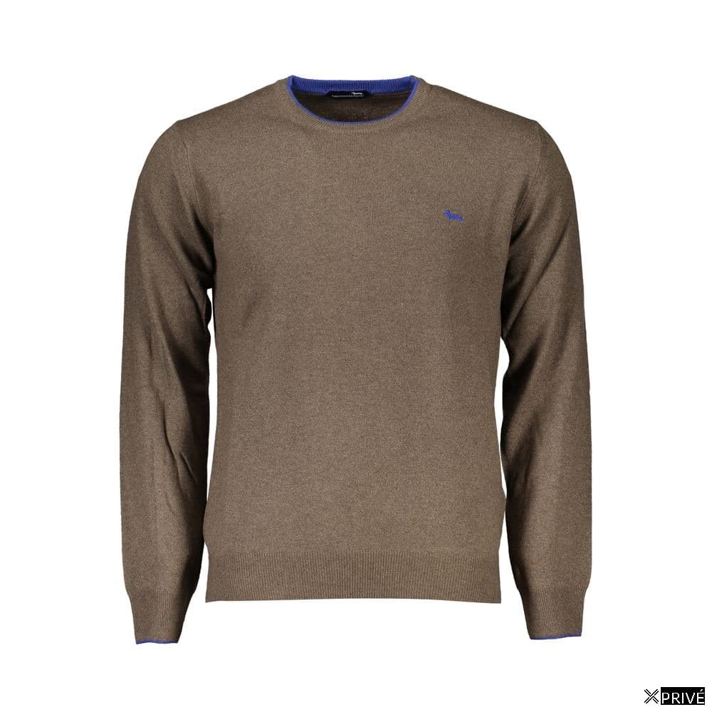 Pull brun — 1