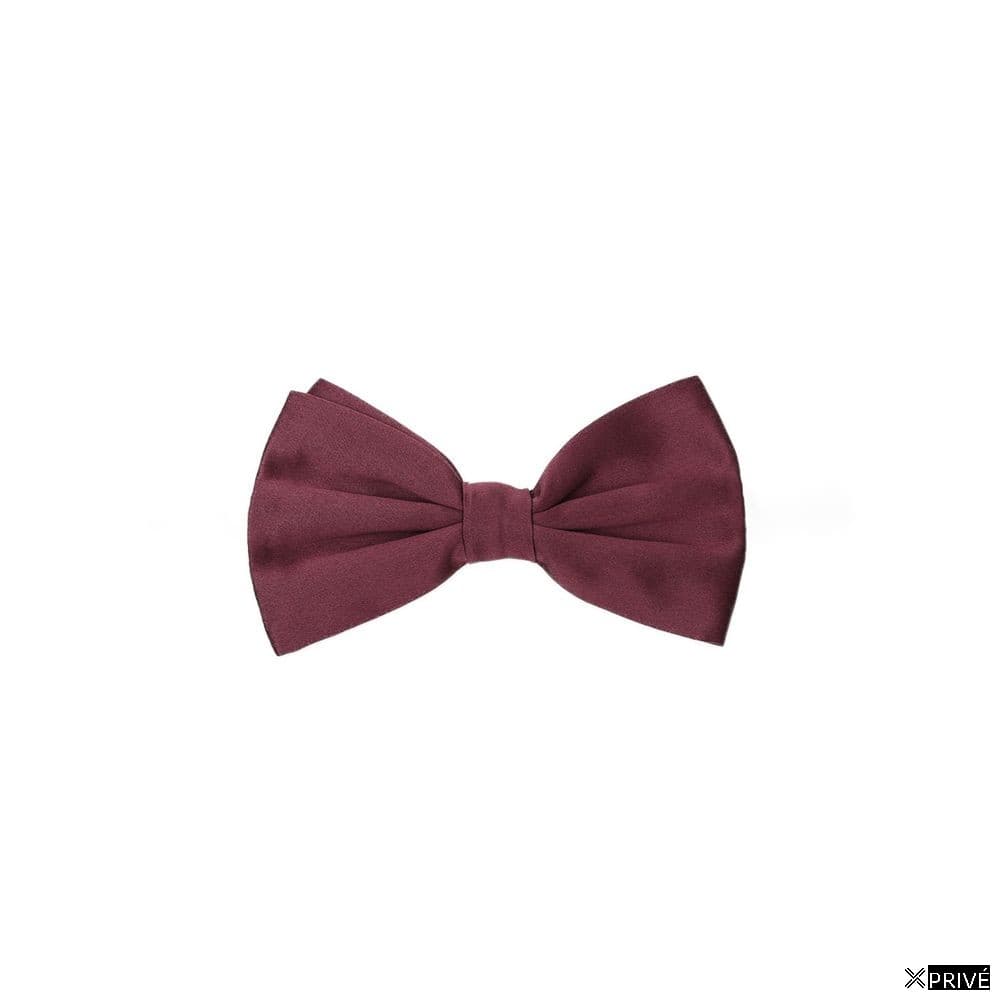 Cravate et nœud papillon bordeaux en Soie — 1