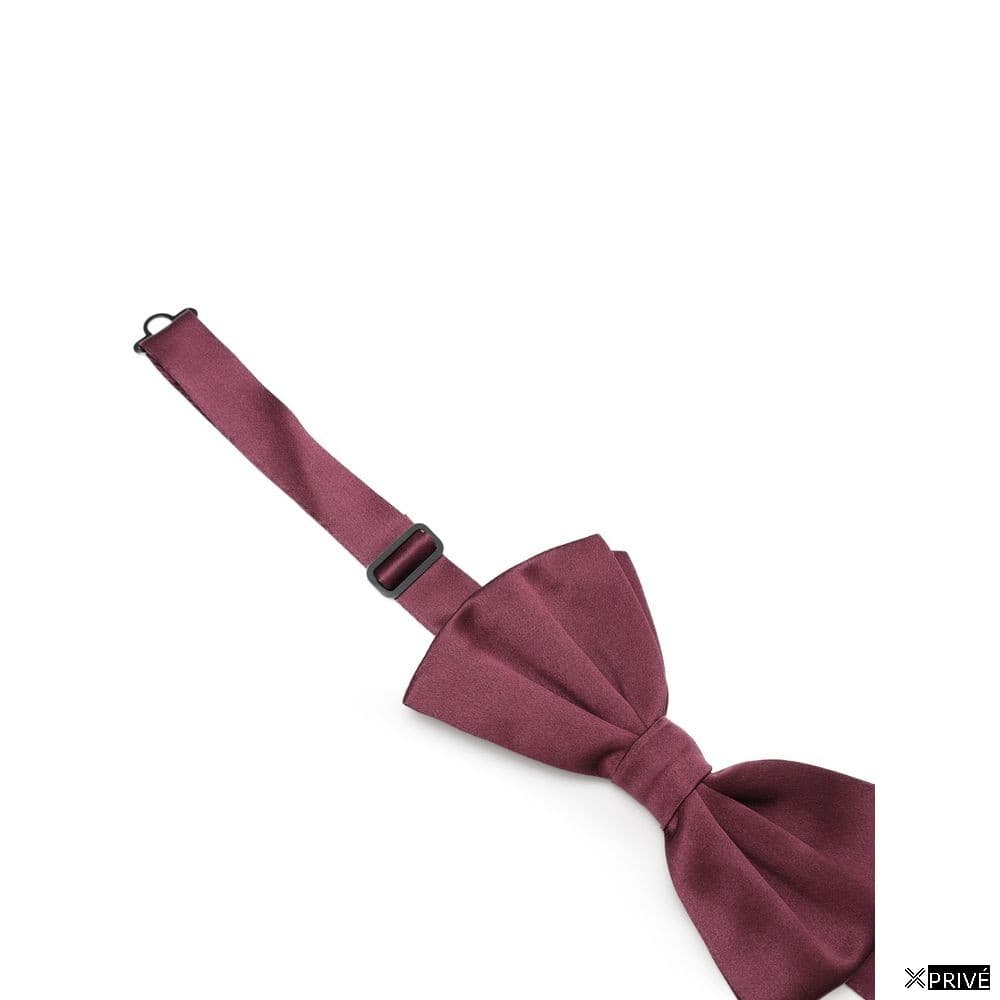 Cravate et nœud papillon bordeaux en Soie — 3