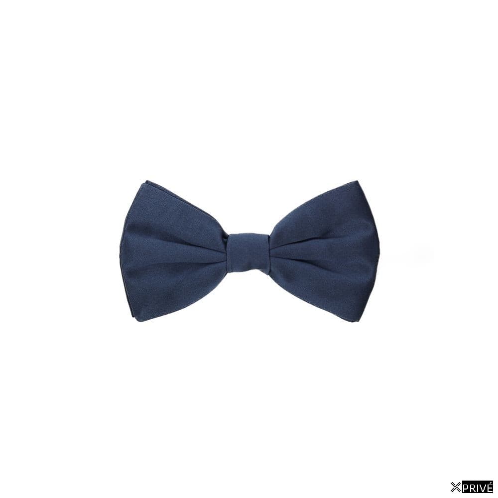 Cravate et nœud papillon bleu en Soie — 1