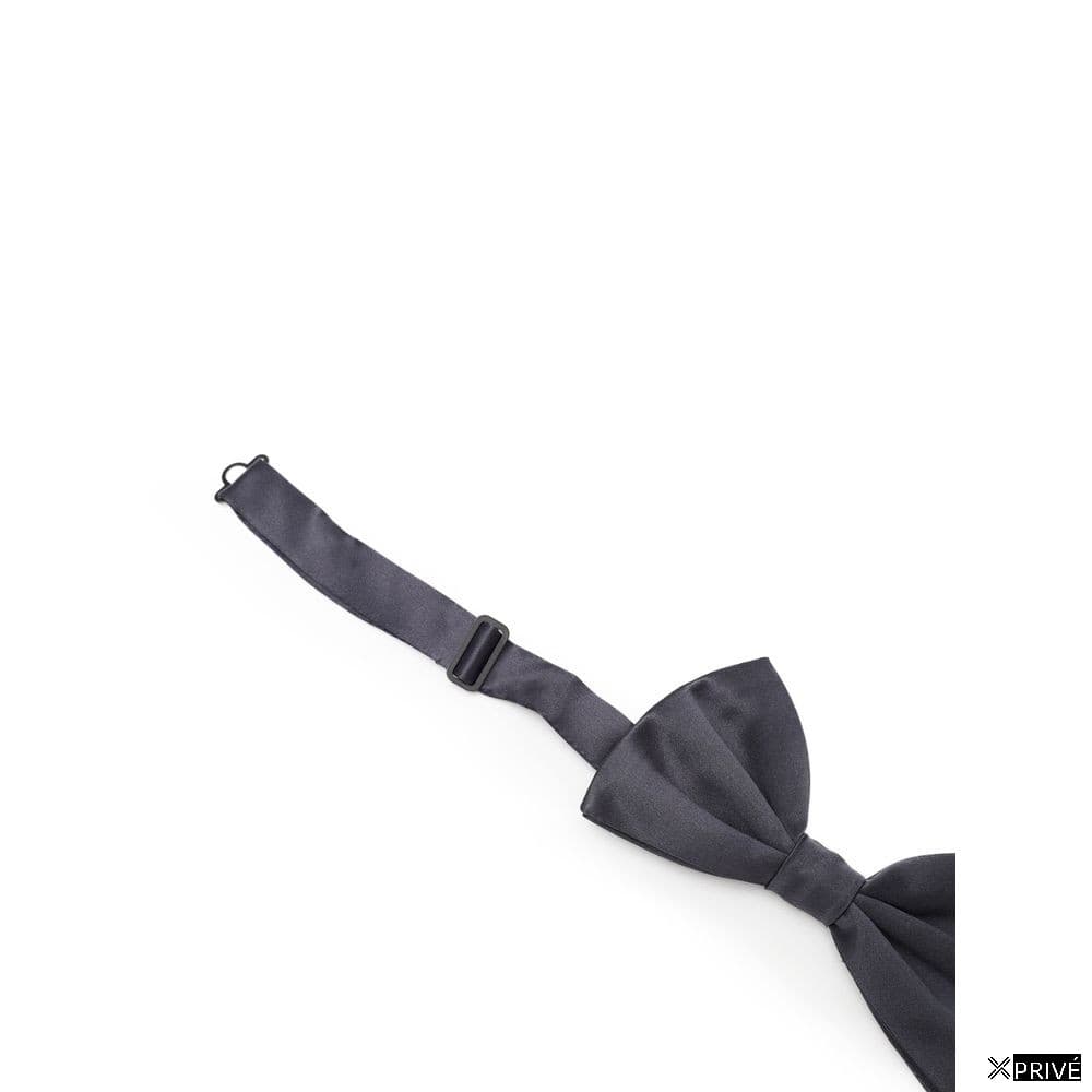 Cravate et nœud papillon gris en Soie — 2
