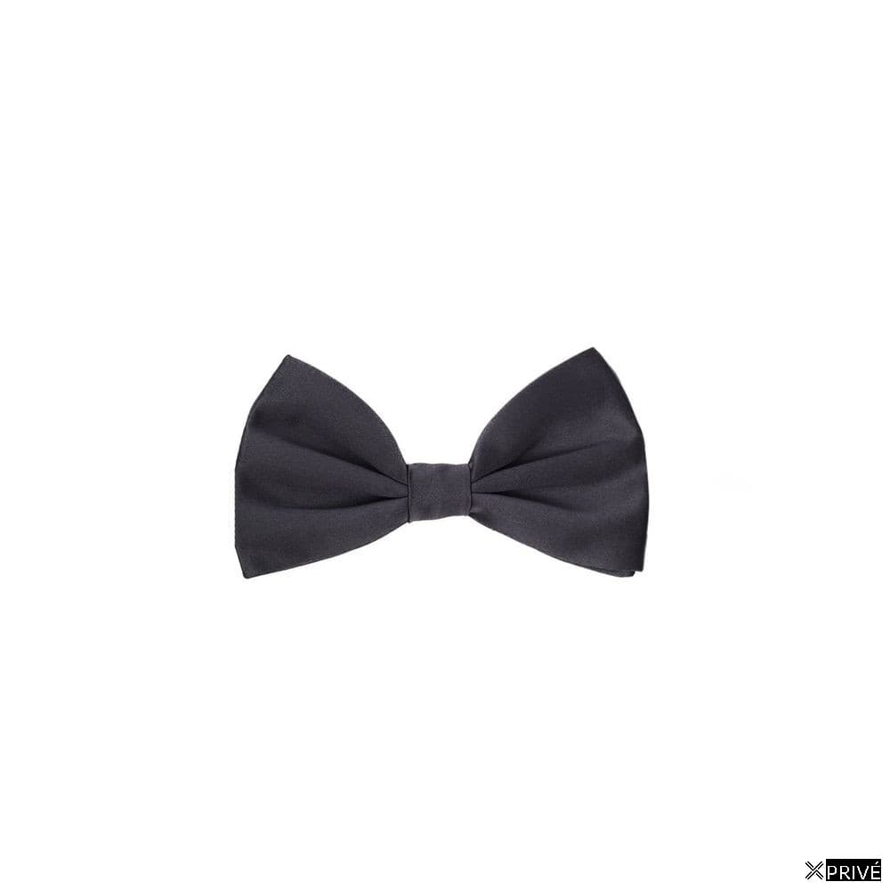 Cravate et nœud papillon gris en Soie — 1