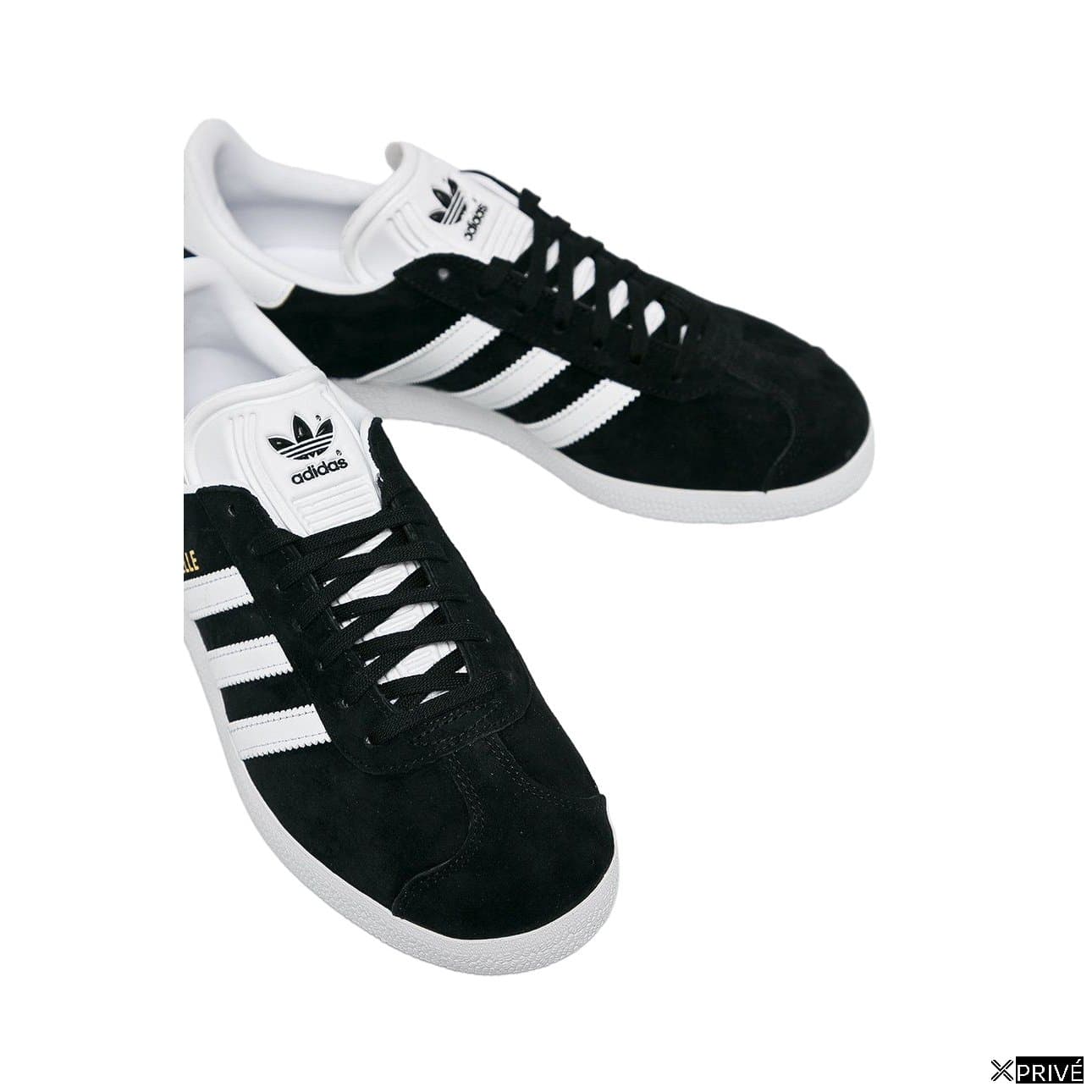 Gazelle — 2