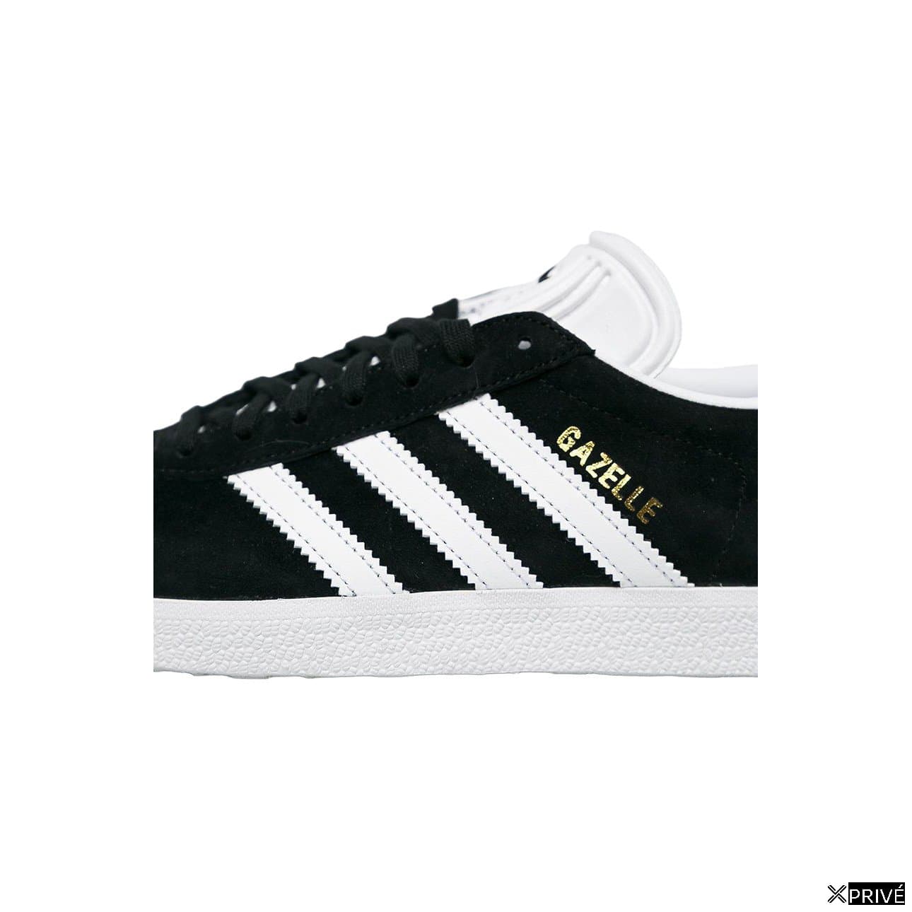 Gazelle — 3