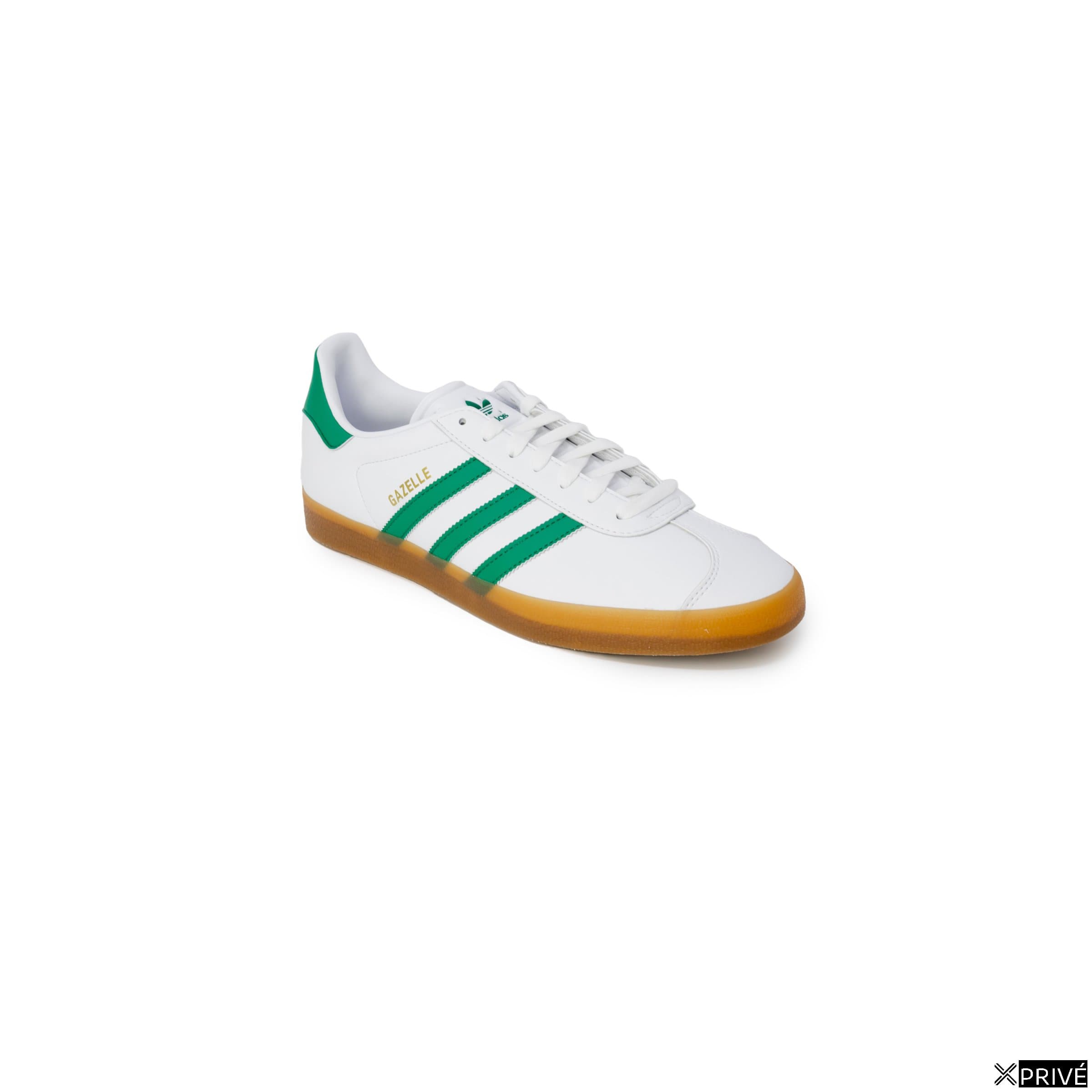 gazelle indoor — 2