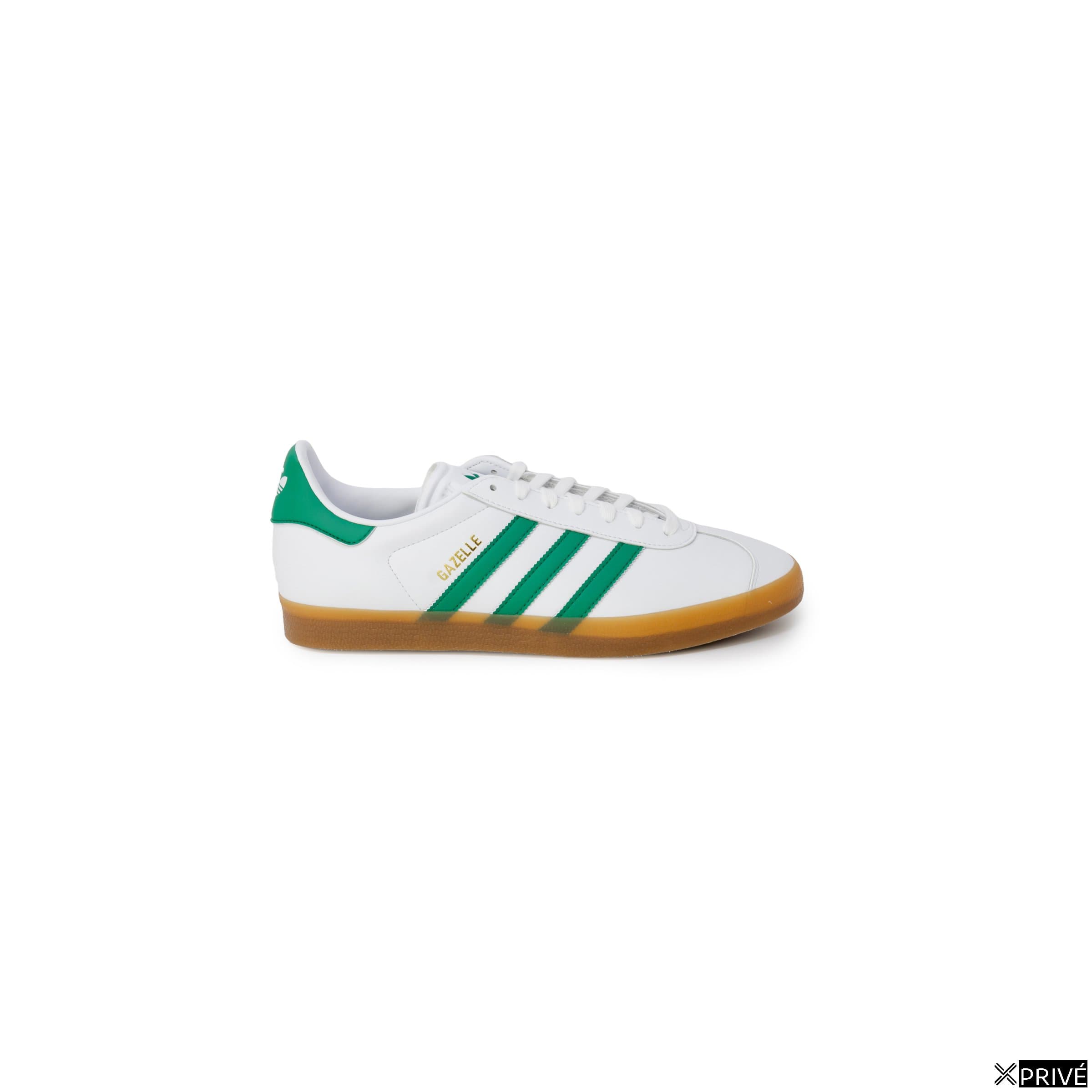 gazelle indoor — 1