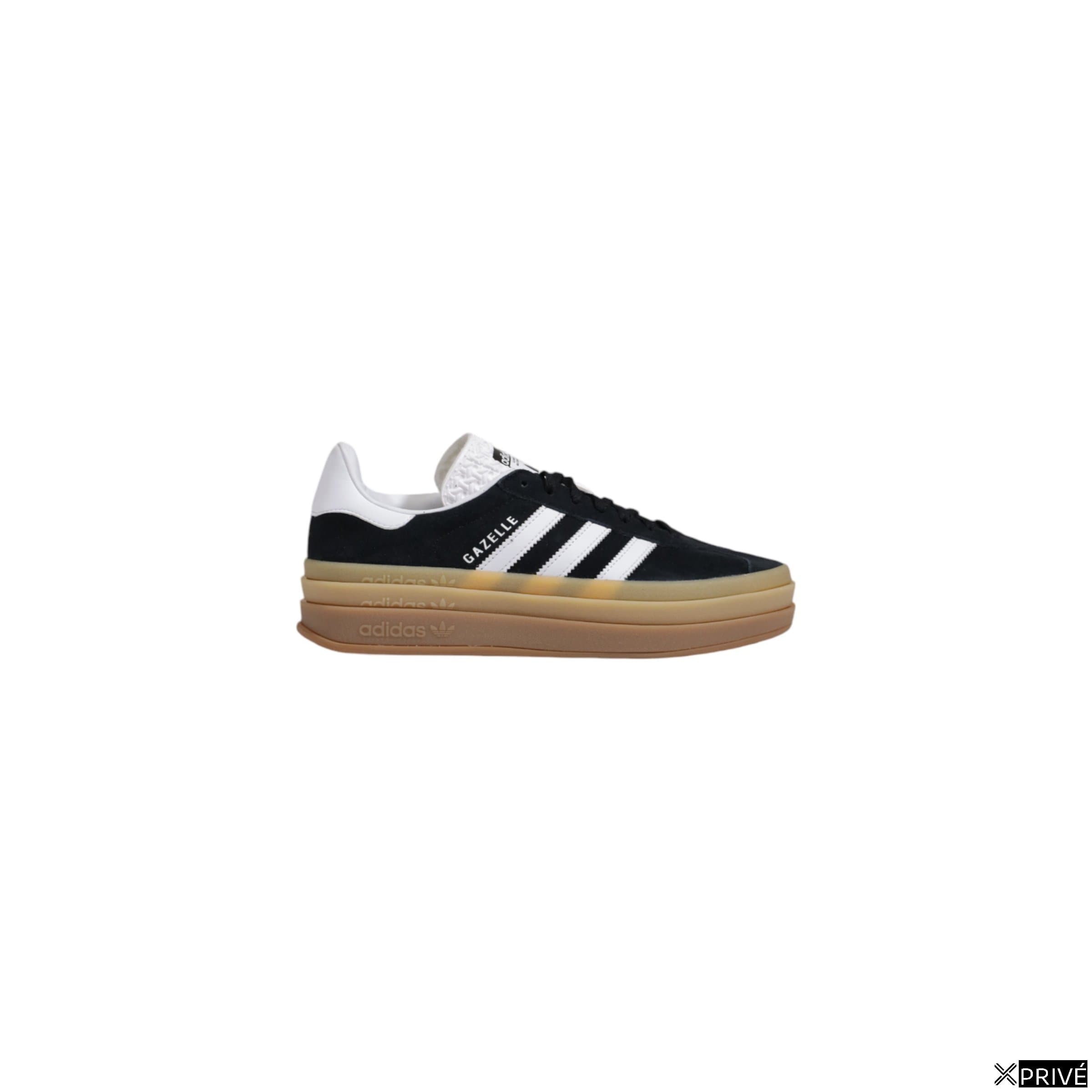 gazelle bold
