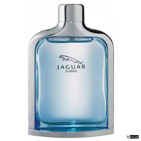 Jaguar Classic Eau De Toilette Vaporisateur 100ml — 1