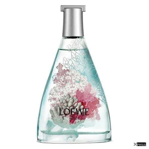 Loewe Agua Mar Coral Eau De Toilette 50ml Spray — 1