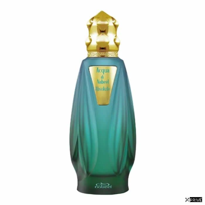 Nabeel Acqua Di Nabeel Absolute Eau De Parfum Vaporisateur 100ml — 1