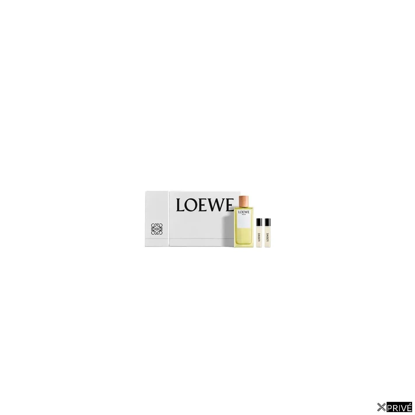Loewe Agua Edt Spray 100ml Nav24 Sets — 1