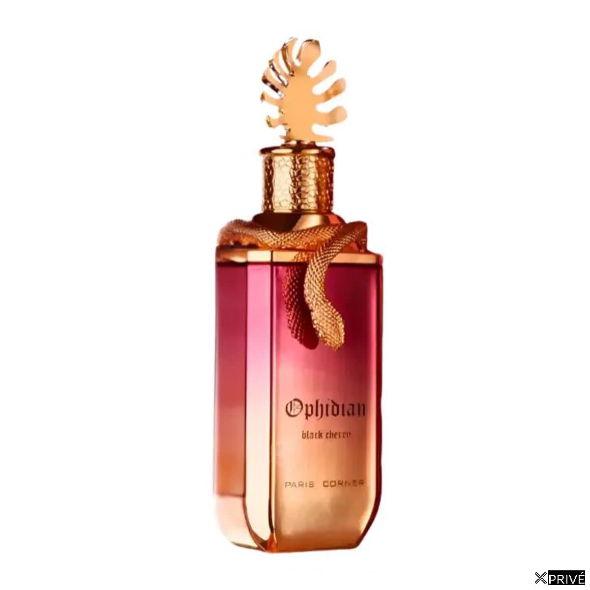Paris Corner Ophidian Eau De Parfum Black Cherry 100ml Spray — 1