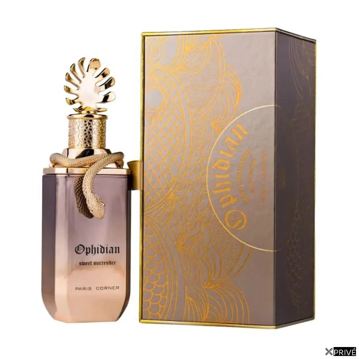 Paris Corner Ophidian Eau De Parfum Sweet Surrender 100ml Spray — 1