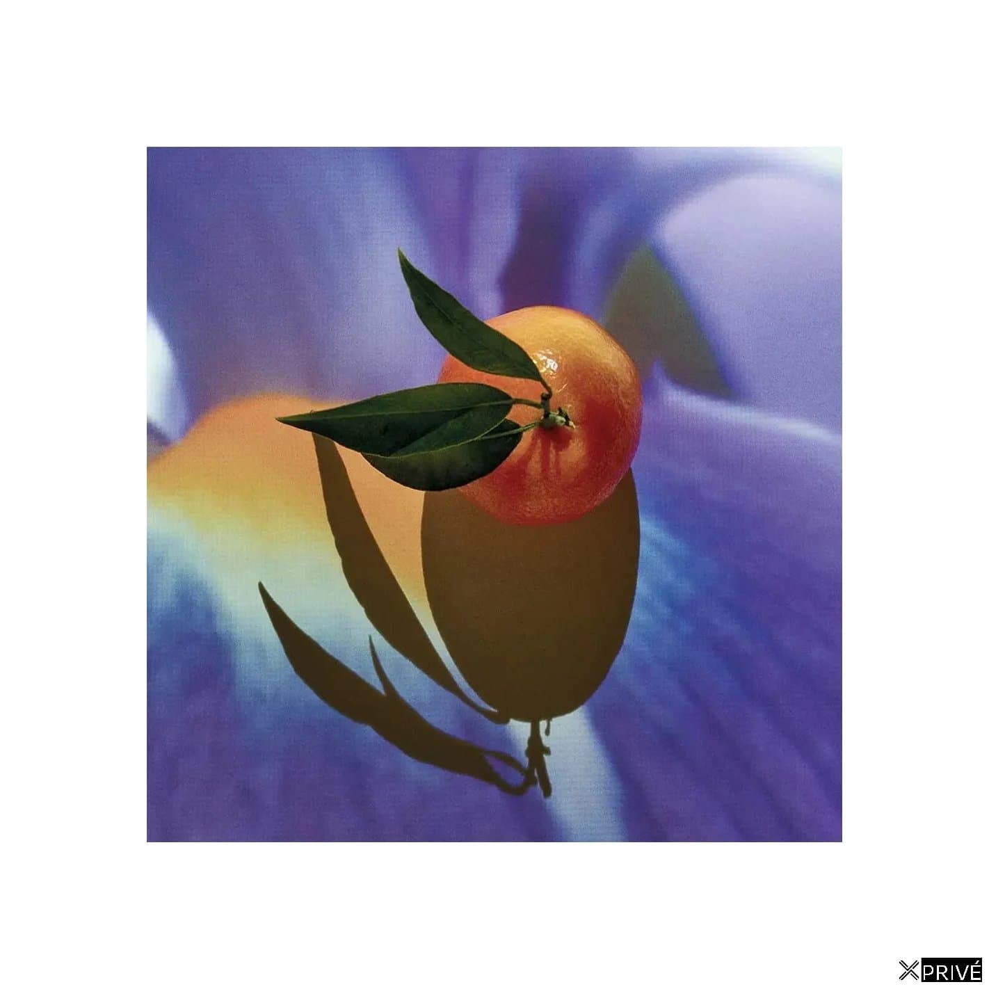 Loewe Solo Elixir 50 Vap M — 1