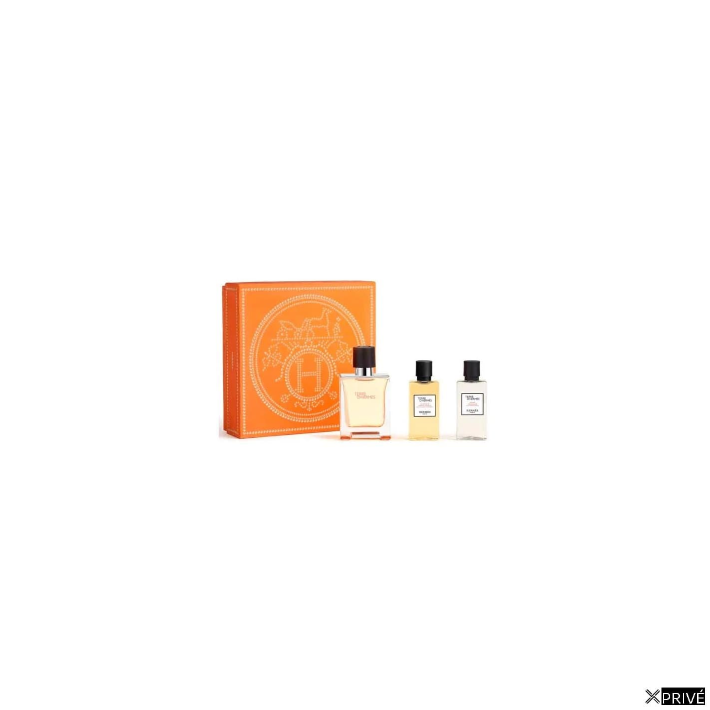 Hermès Terre D'hermes e T 50 Spray Gel40 Ash40 — 1