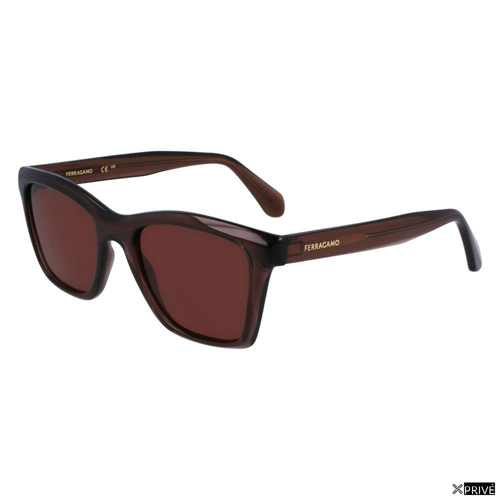 Lunettes de soleil brunes en Injecté — 1