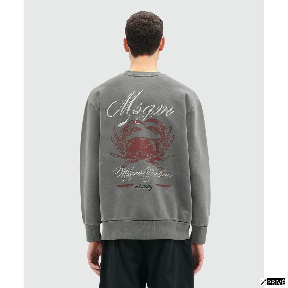 Pull en Cotton — 3