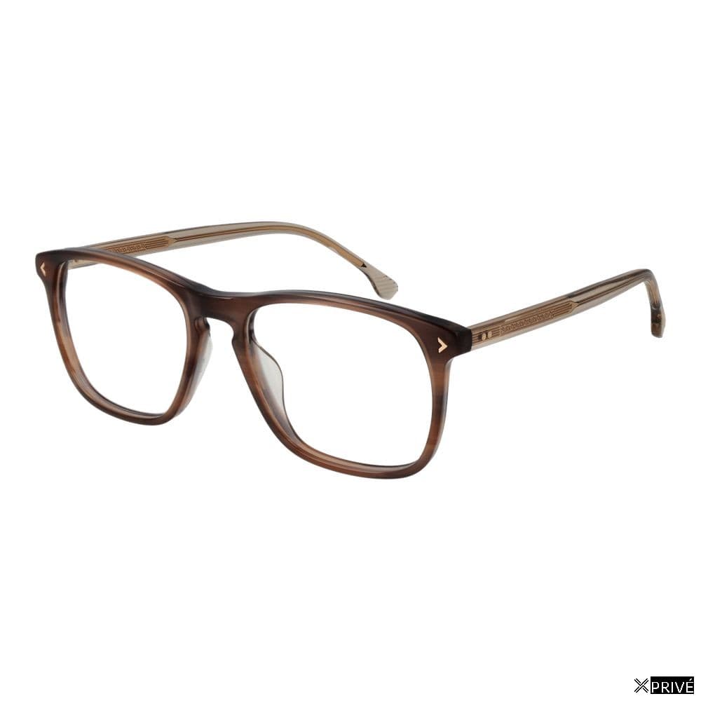 Monture brune — 1