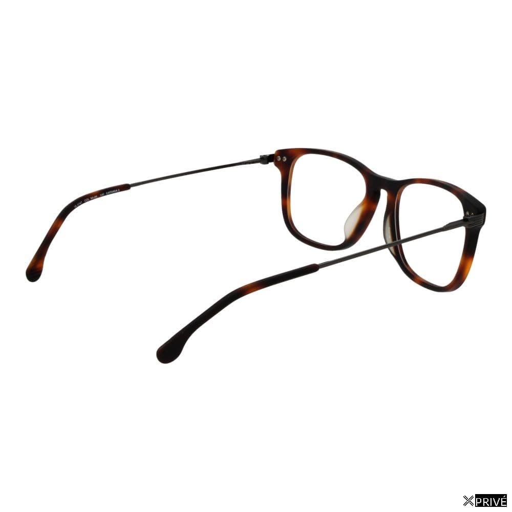 Monture brune — 3