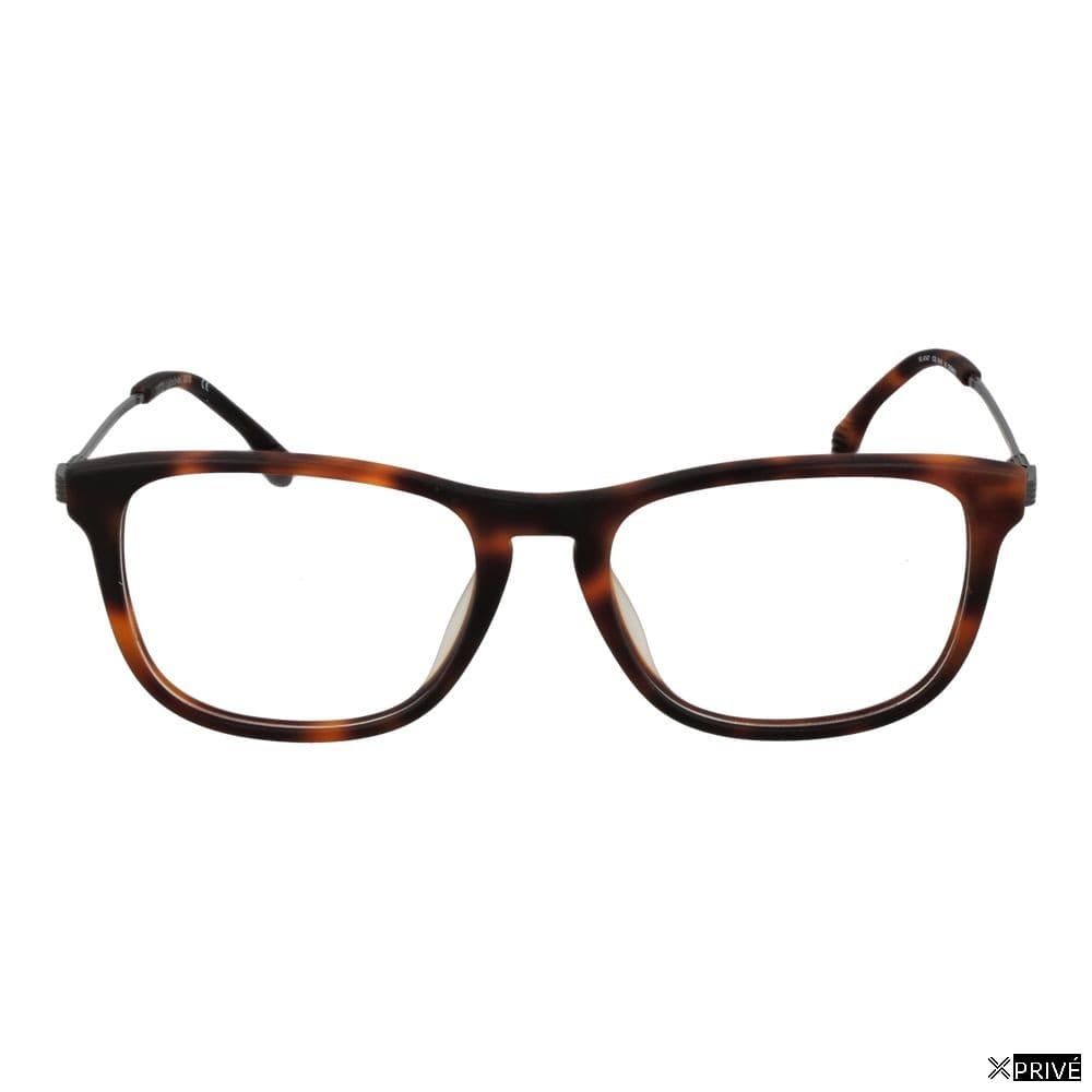 Monture brune — 2