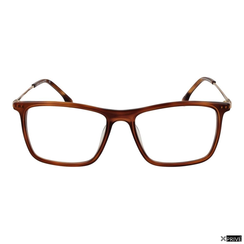 Monture brune — 2