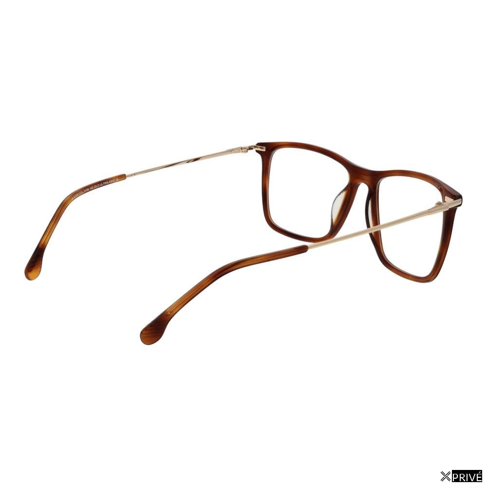 Monture brune — 3