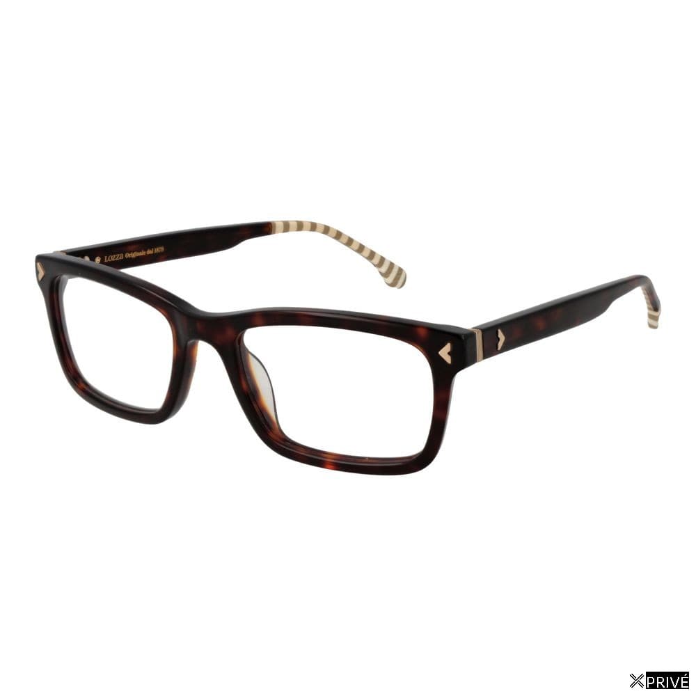 Monture brune — 1