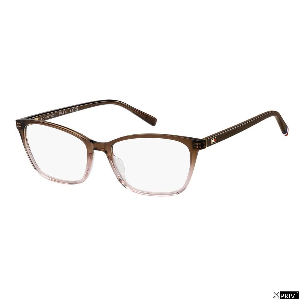 Monture brune — 1