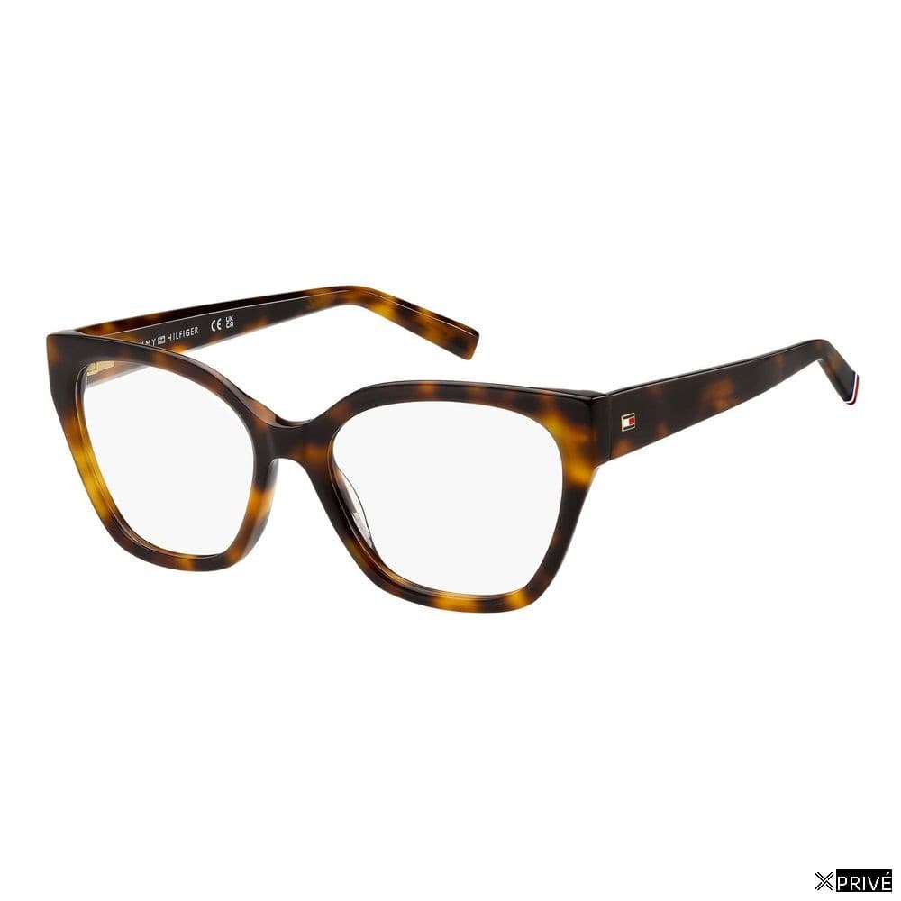 Monture brune — 1
