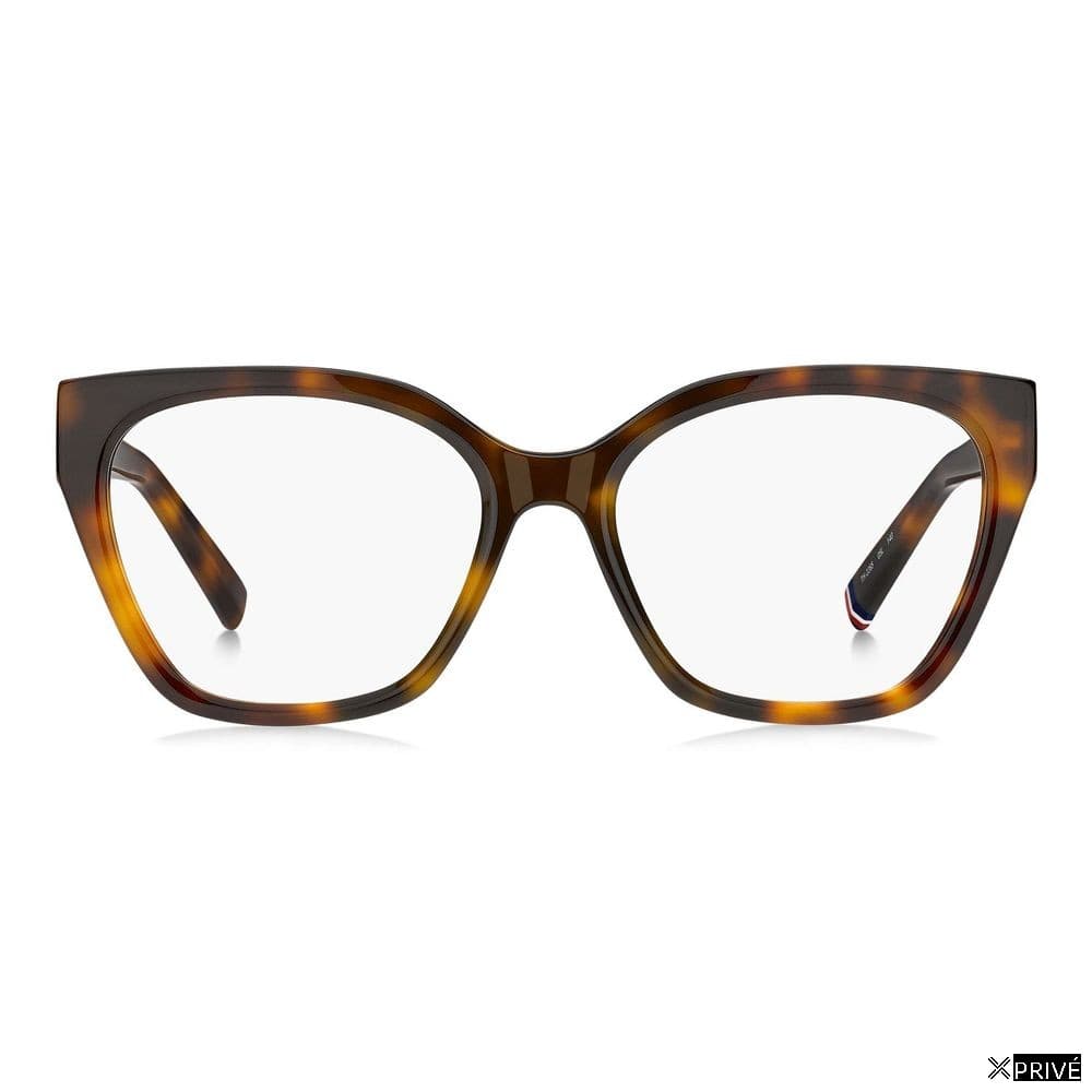 Monture brune — 2