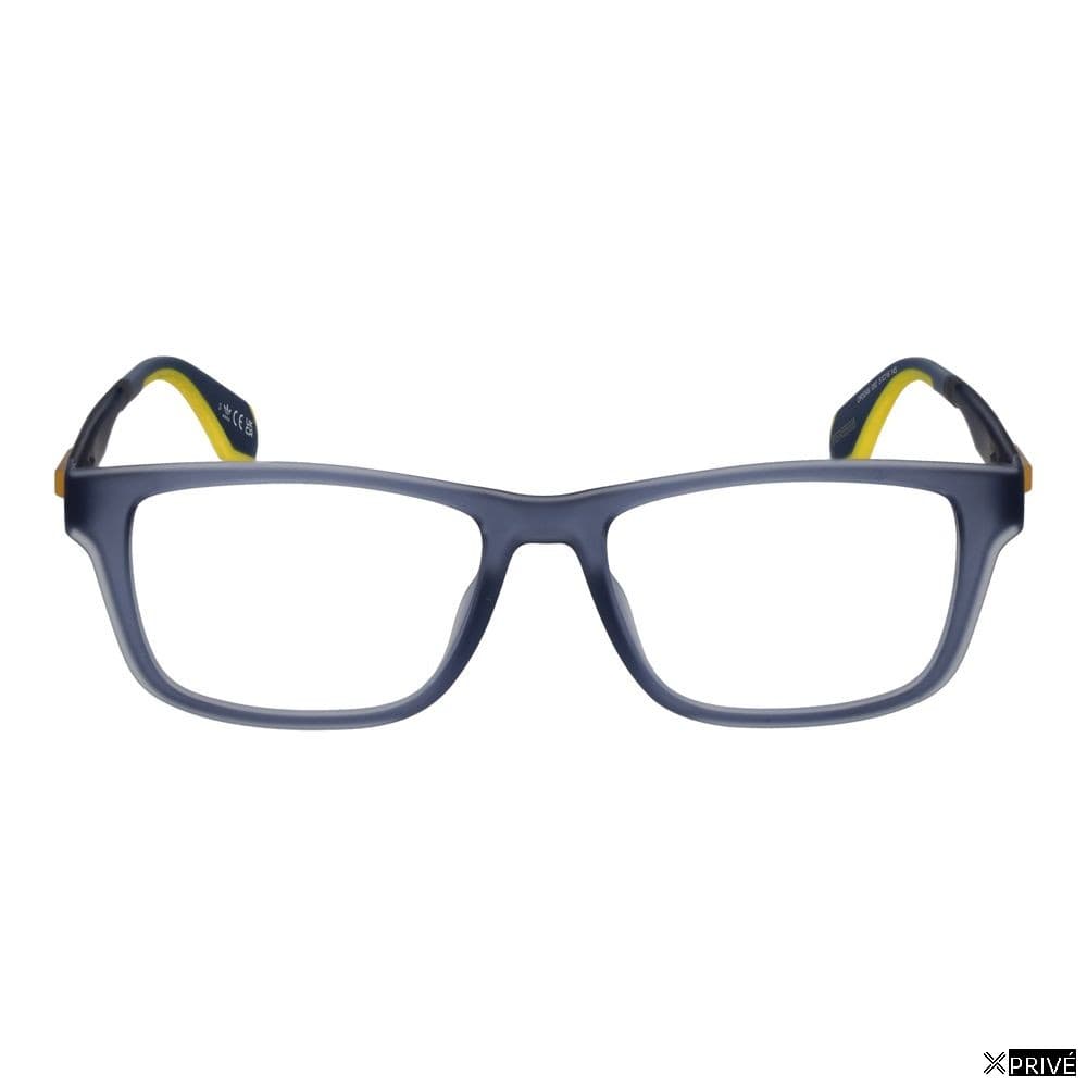 Monture bleue — 2