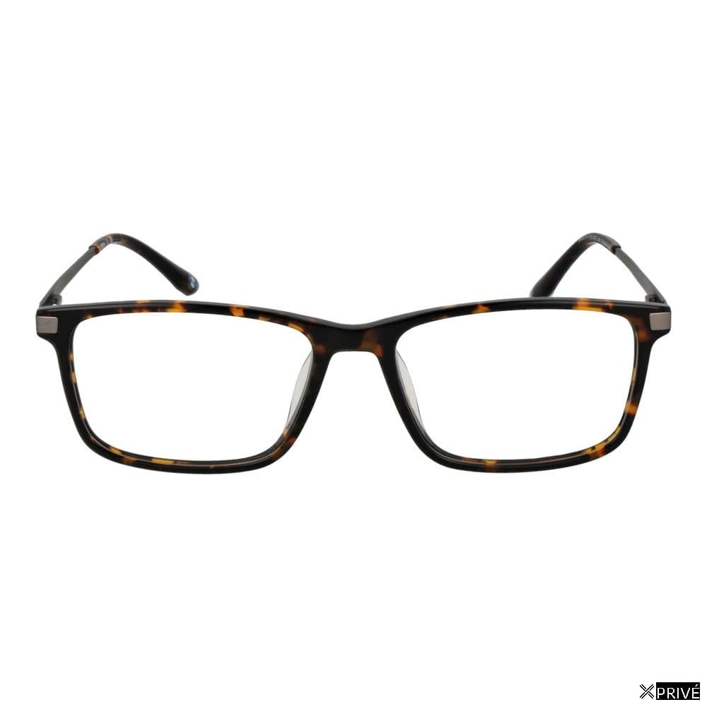 Monture brune — 2