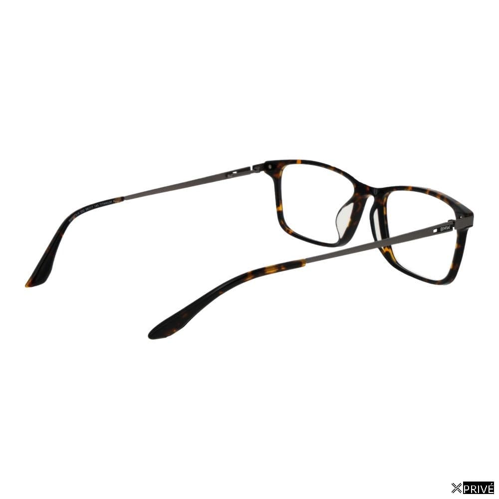 Monture brune — 3