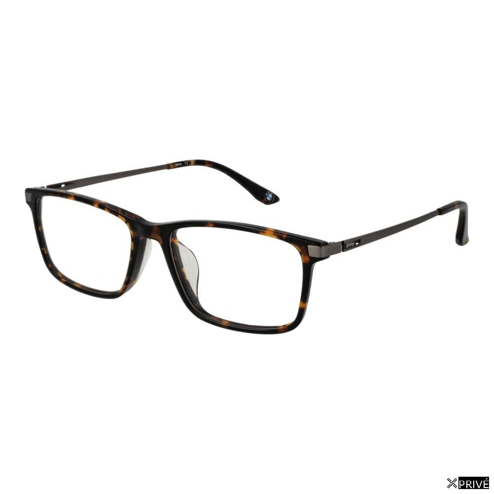 Monture brune — 1