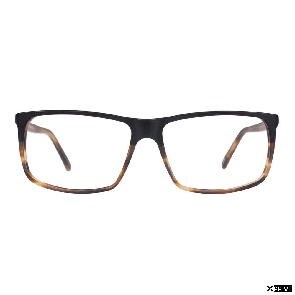 Monture brune — 1