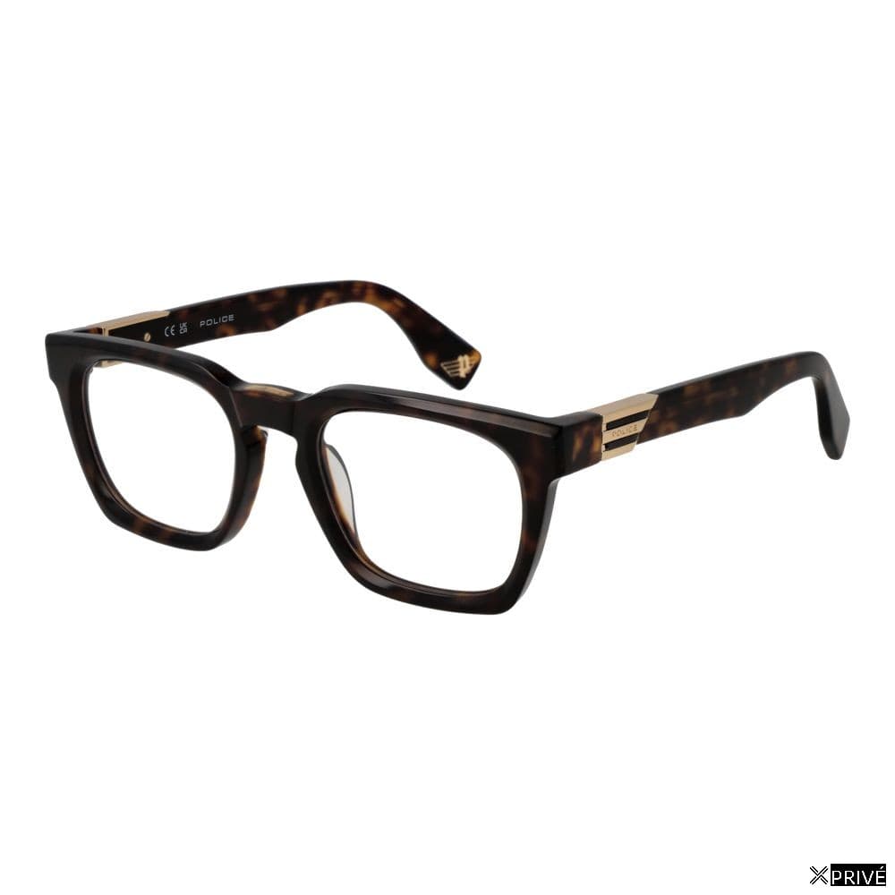 Monture brune — 1