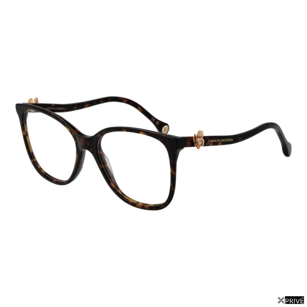 Monture brune — 1