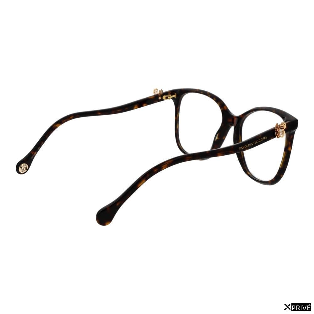 Monture brune — 3