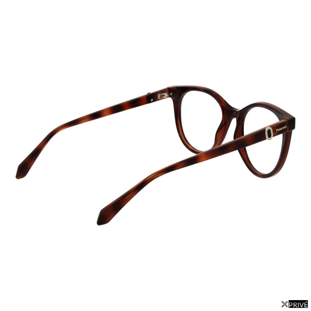 Monture brune — 3