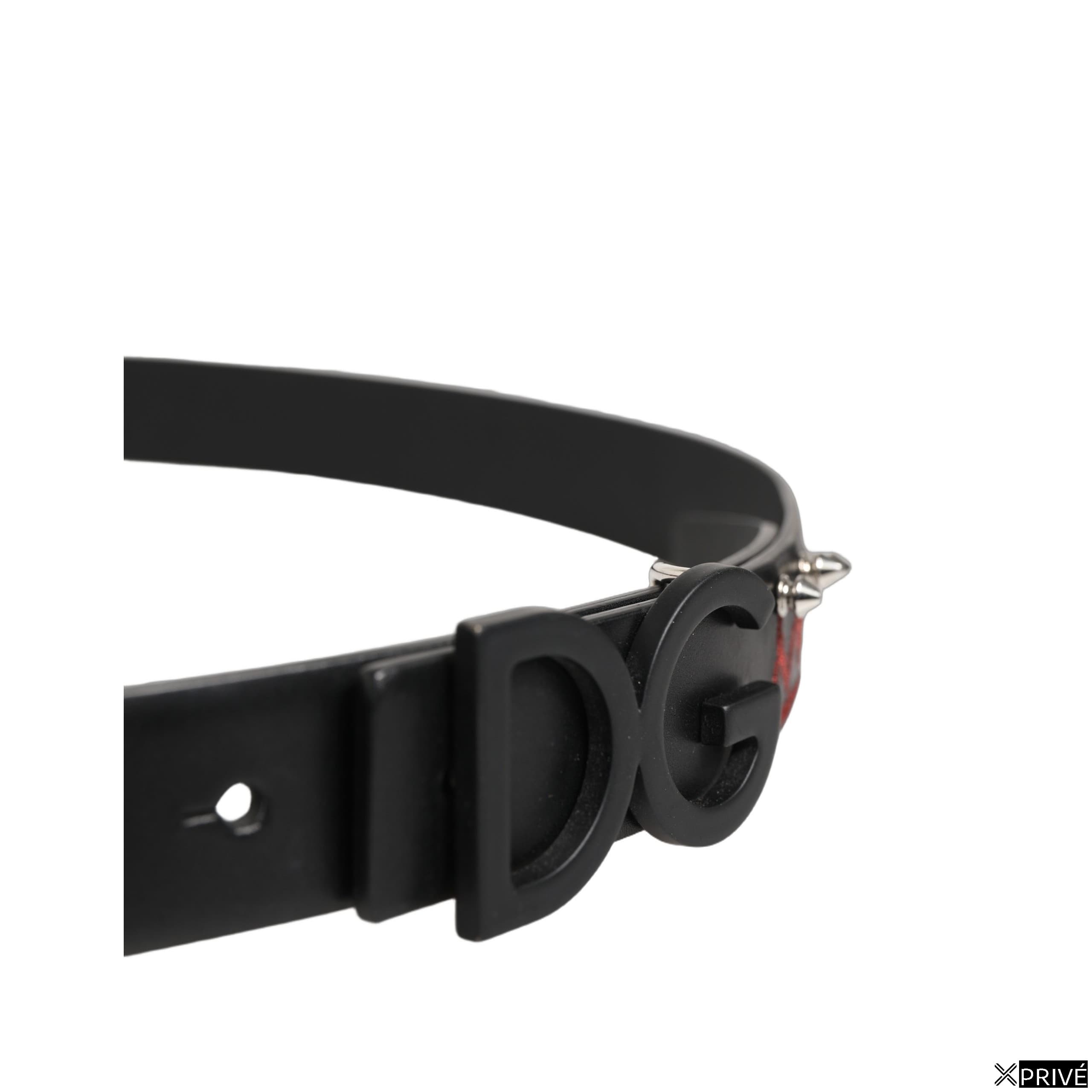 Ceinture noire — 4
