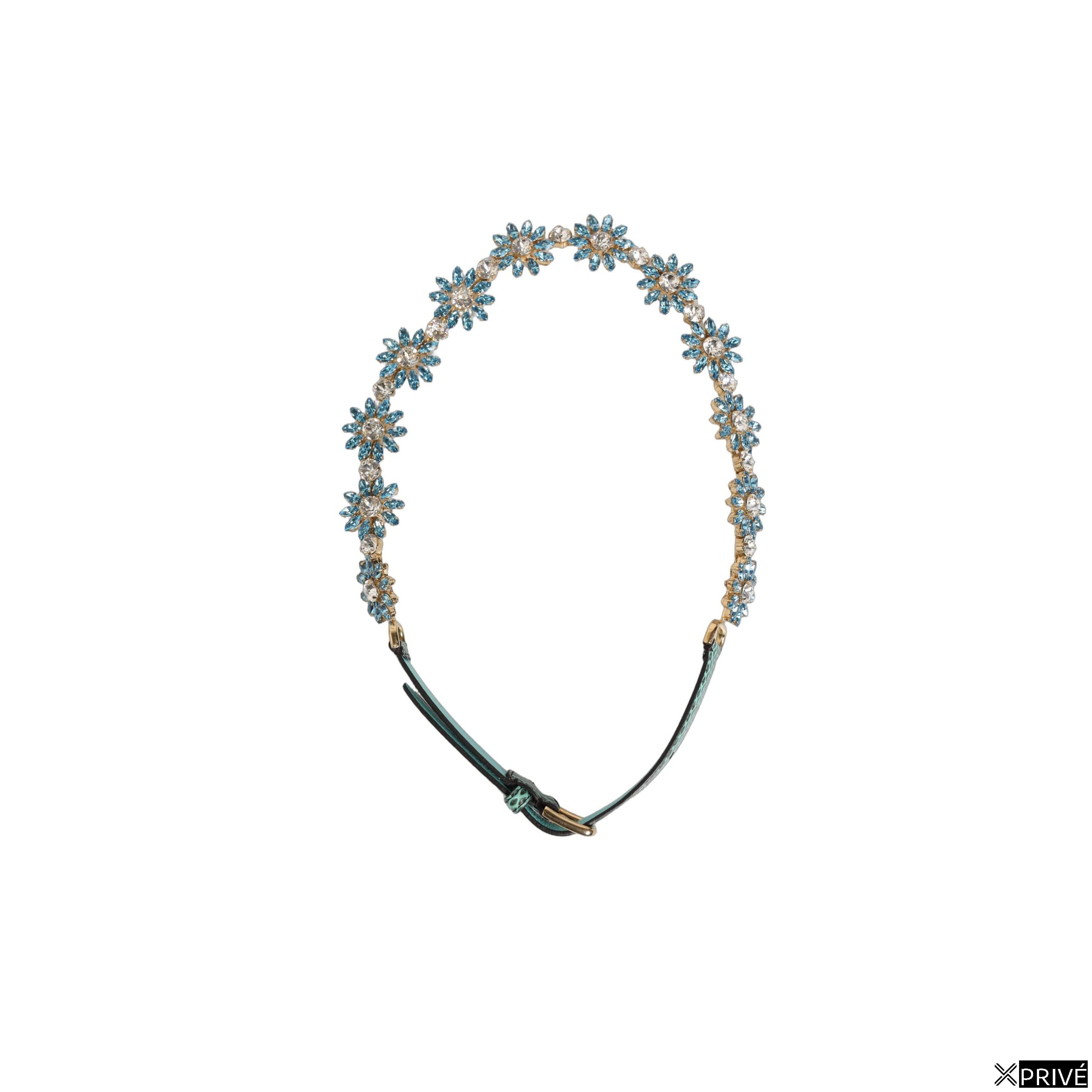 Ceinture verte — 4