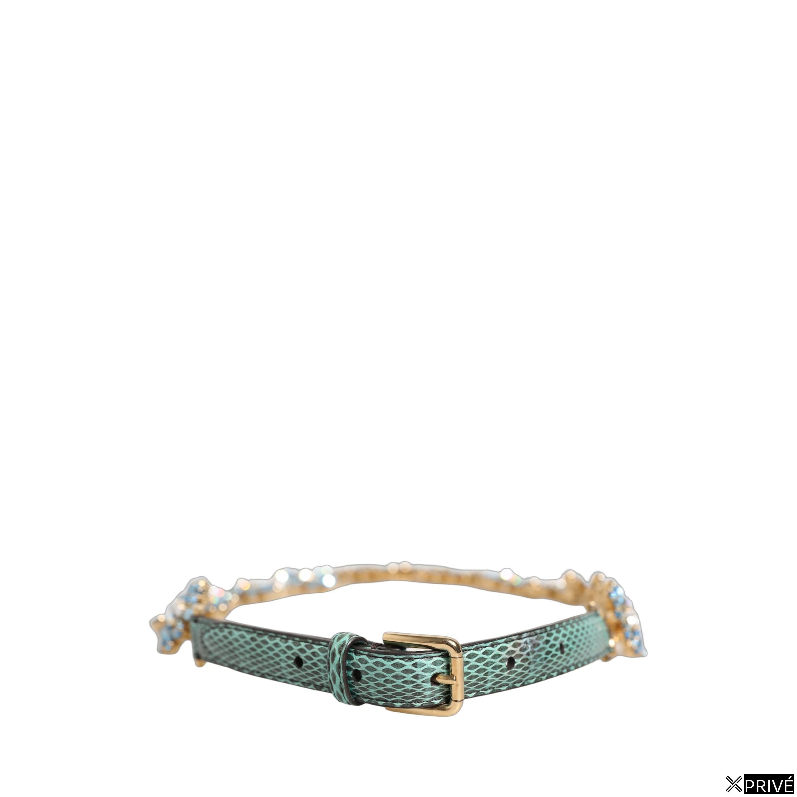 Ceinture verte — 3