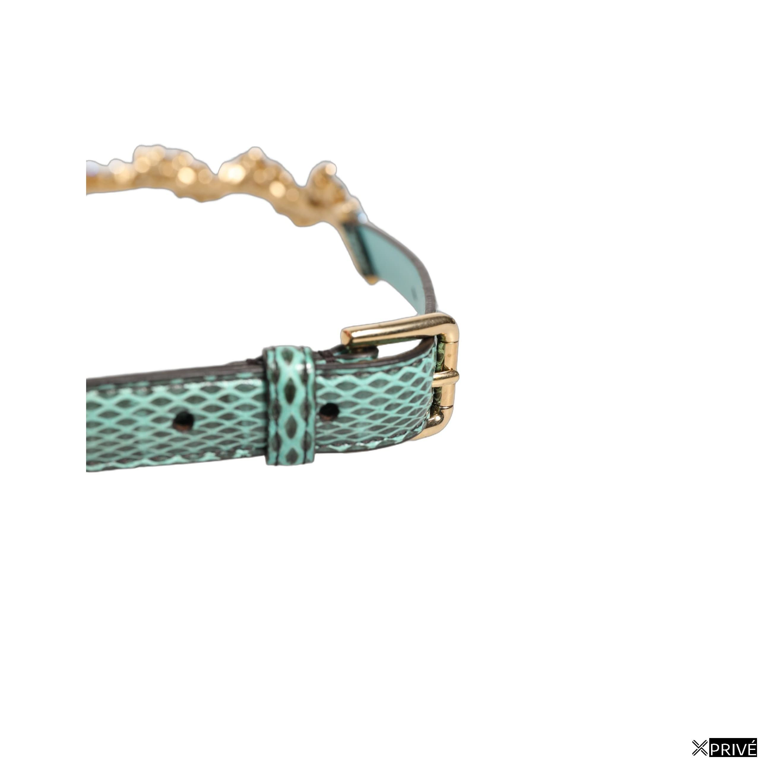 Ceinture verte — 6