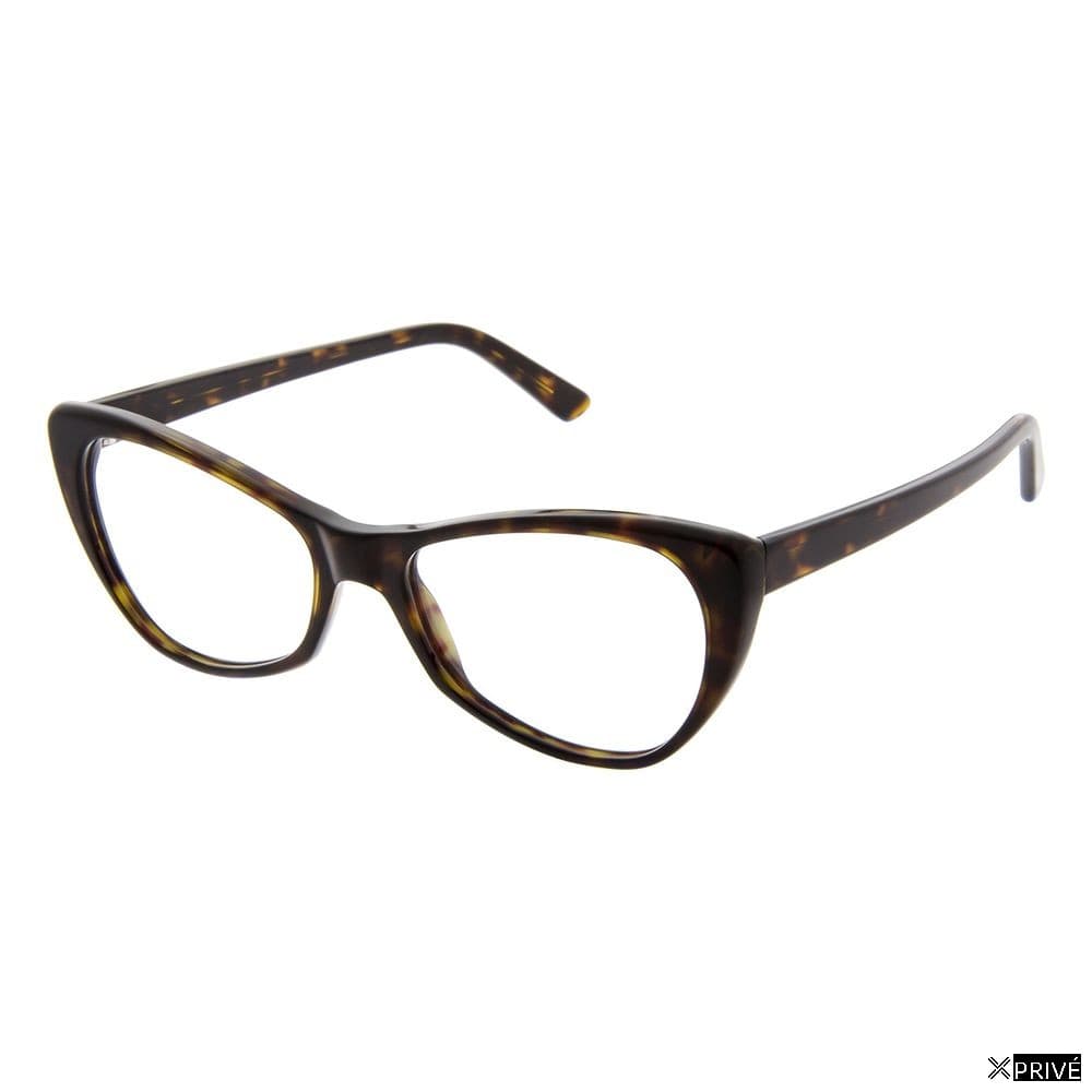 Monture brune — 2