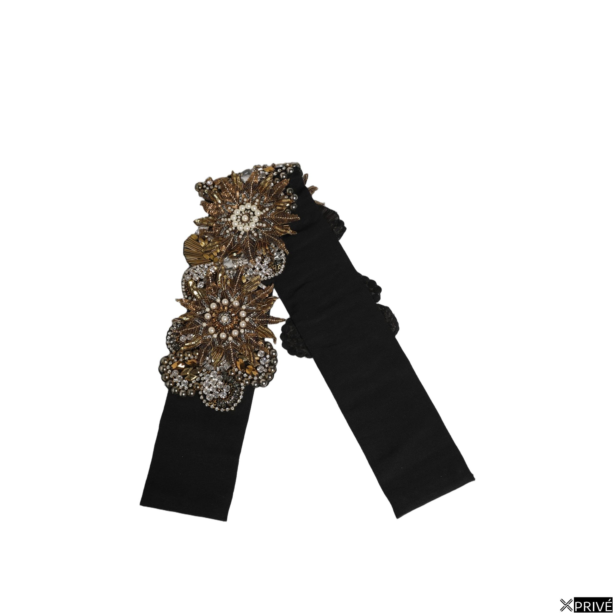 Ceinture noire — 1