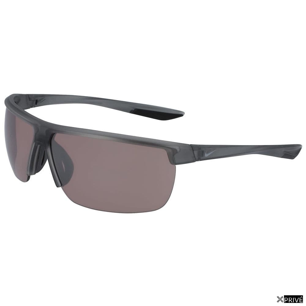 Lunettes de soleil grises en Injecté — 1