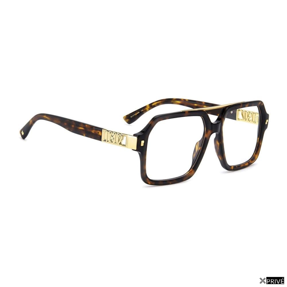 Monture brune — 3